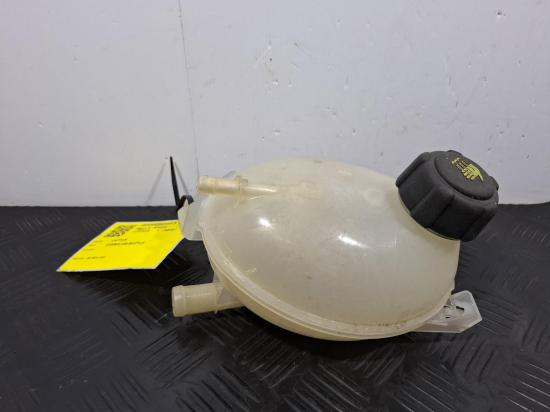 2016 Renault Captur — Overflow Bottle