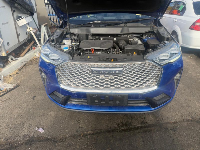 2021 GWM Cannon — Auto Petrol